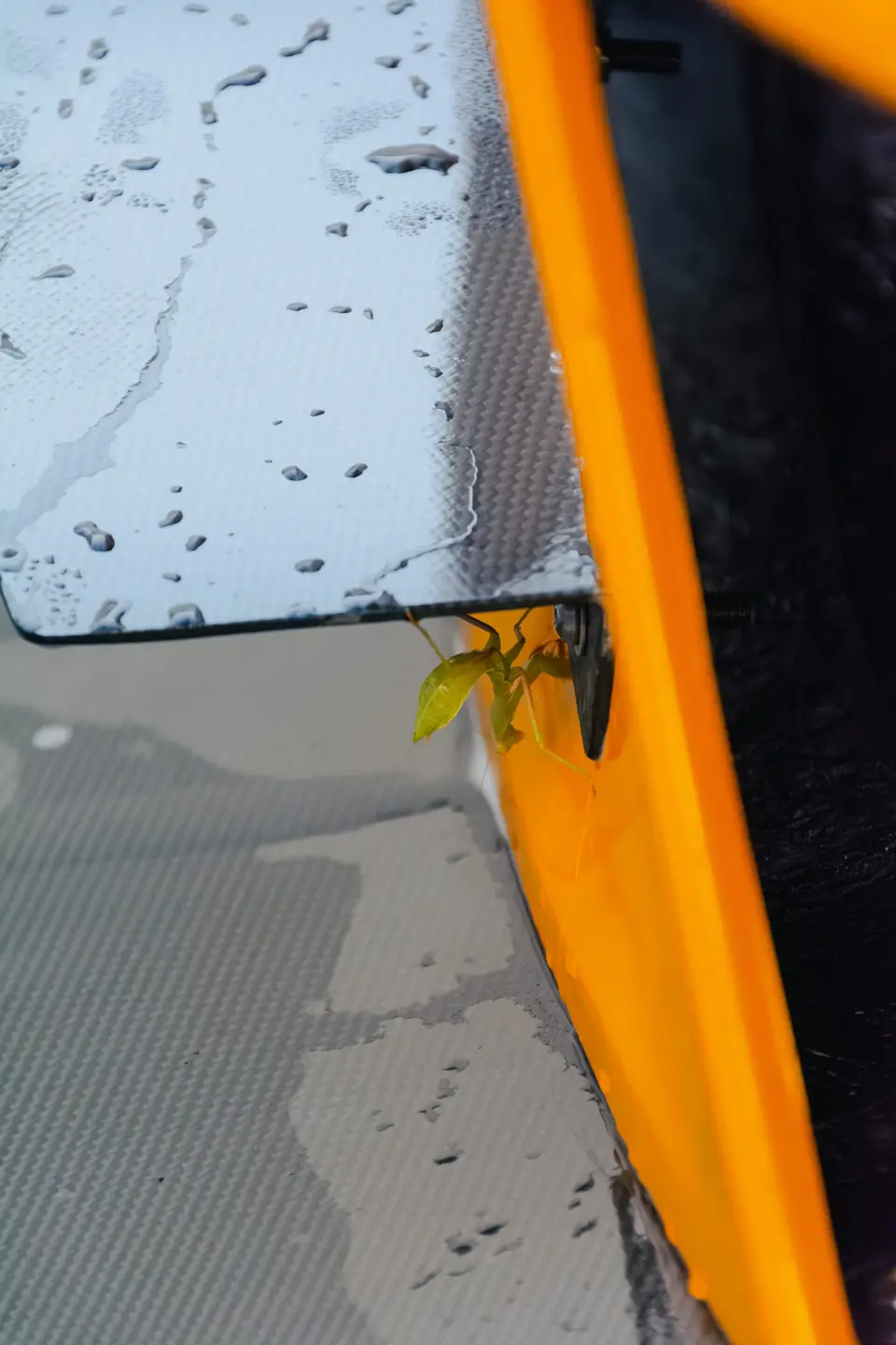 Yellow Honda S2000 paint correction and ceramic coating — studio photo 56
